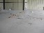 Old Stained & Pitted Floor